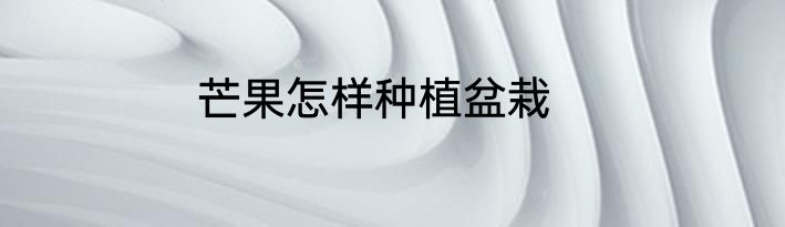 芒果怎样种植盆栽