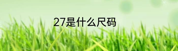 27是什么尺码