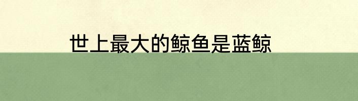 世上最大的鲸鱼是蓝鲸
