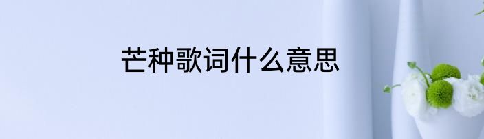 芒种歌词什么意思