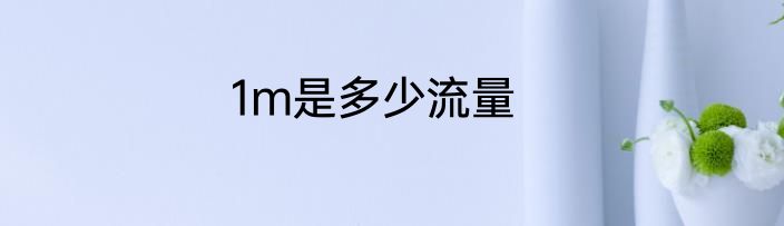 1m是多少流量