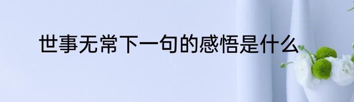 世事无常下一句的感悟是什么