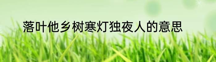 落叶他乡树寒灯独夜人的意思