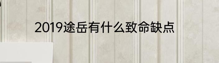 2019途岳有什么致命缺点