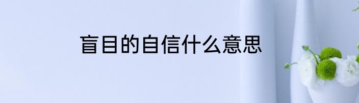 盲目的自信什么意思
