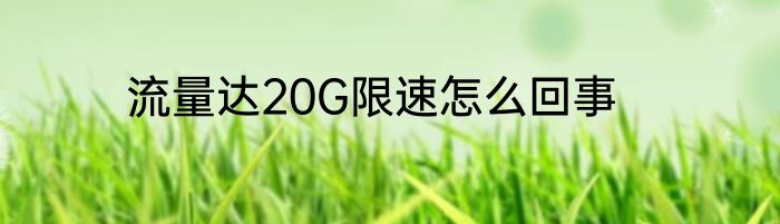 流量达20G限速怎么回事