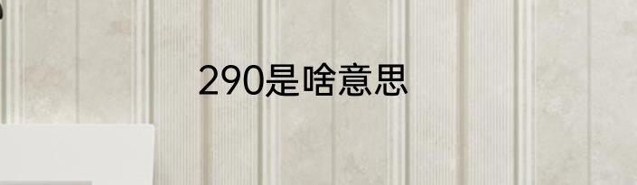 290是啥意思