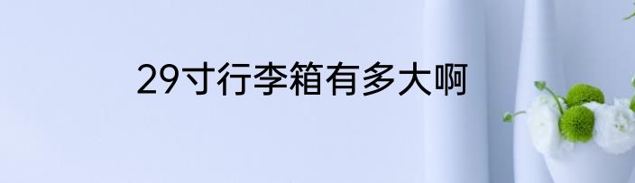 29寸行李箱有多大啊