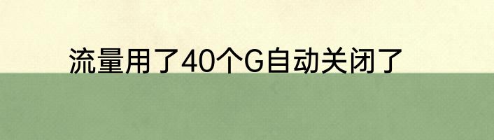 流量用了40个G自动关闭了