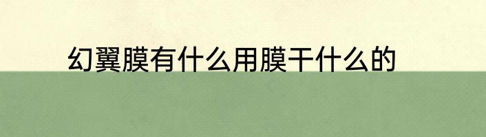 幻翼膜有什么用膜干什么的