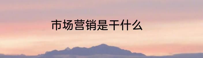 市场营销是干什么