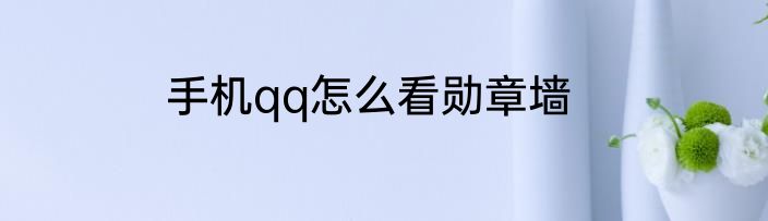 手机qq怎么看勋章墙