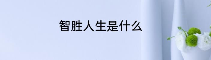 智胜人生是什么