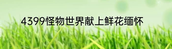 4399怪物世界献上鲜花缅怀