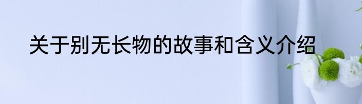 关于别无长物的故事和含义介绍