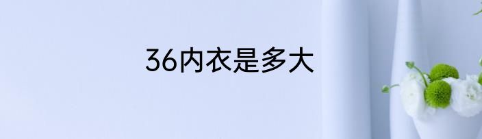 36内衣是多大