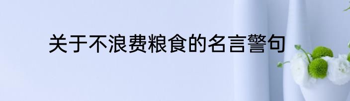 关于不浪费粮食的名言警句