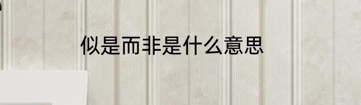 似是而非是什么意思