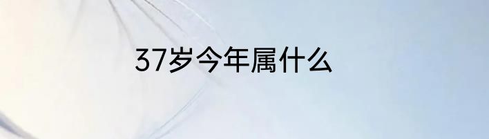 37岁今年属什么