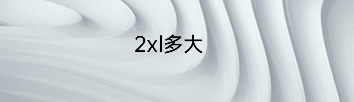 2xl多大