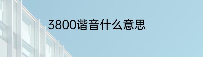 3800谐音什么意思