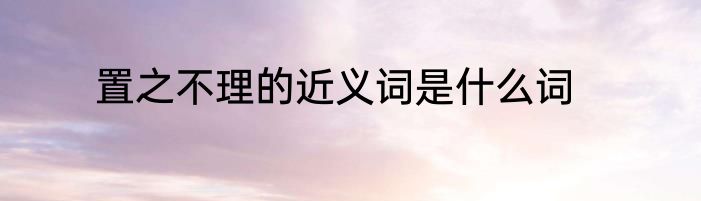 置之不理的近义词是什么词