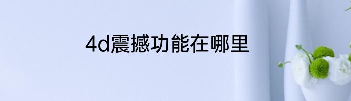 4d震撼功能在哪里
