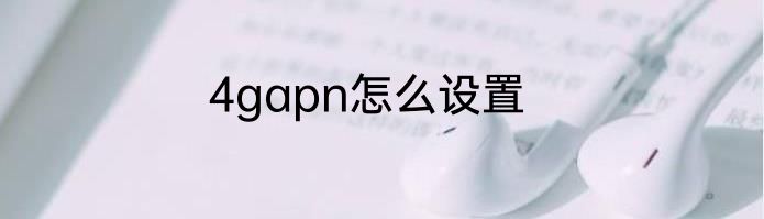 4gapn怎么设置