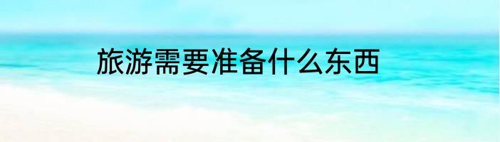 旅游需要准备什么东西