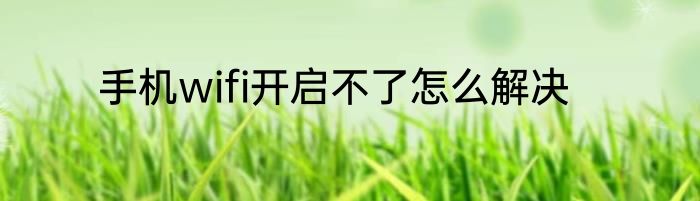 手机wifi开启不了怎么解决