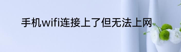 手机wifi连接上了但无法上网
