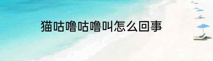 猫咕噜咕噜叫怎么回事