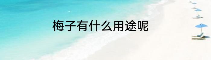 梅子有什么用途呢