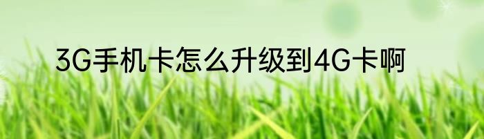 3G手机卡怎么升级到4G卡啊