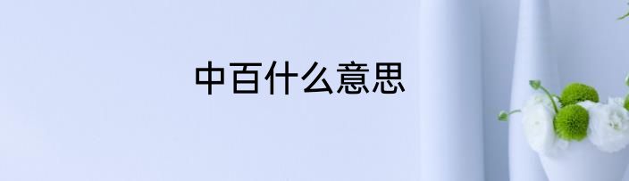 中百什么意思