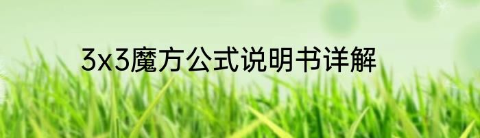 3x3魔方公式说明书详解