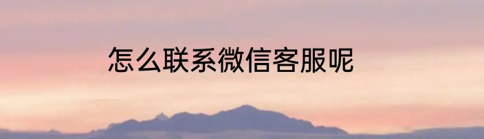 怎么联系微信客服呢