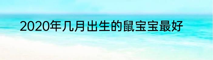 2020年几月出生的鼠宝宝最好