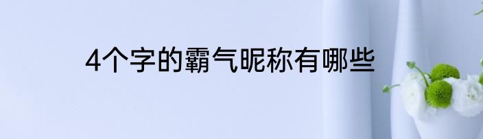 4个字的霸气昵称有哪些