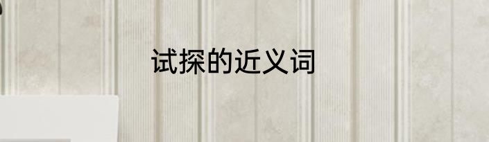 试探的近义词