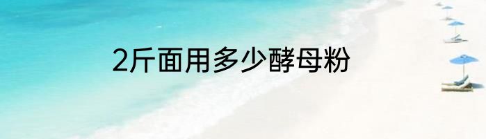 2斤面用多少酵母粉
