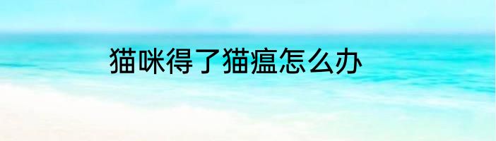 猫咪得了猫瘟怎么办