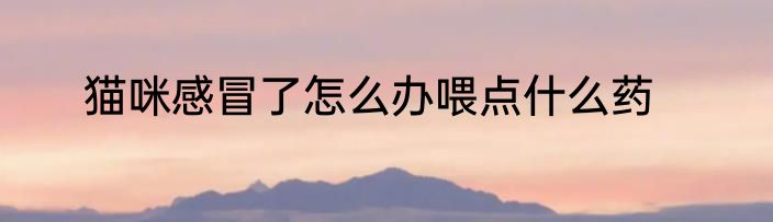 猫咪感冒了怎么办喂点什么药