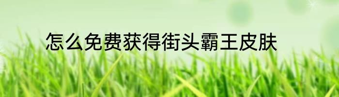 怎么免费获得街头霸王皮肤