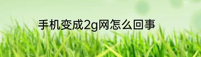 手机变成2g网怎么回事