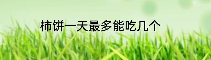 柿饼一天最多能吃几个