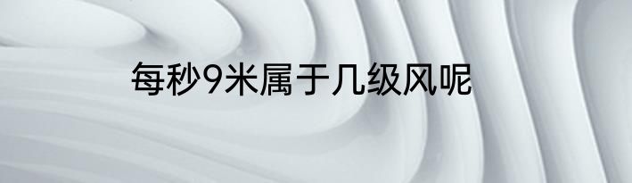 每秒9米属于几级风呢