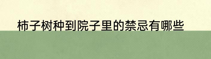 柿子树种到院子里的禁忌有哪些