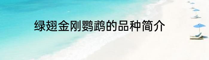 绿翅金刚鹦鹉的品种简介