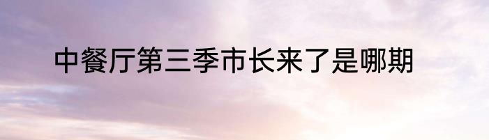 中餐厅第三季市长来了是哪期